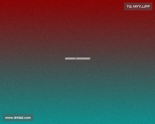 国际汽联四大赛事 国际汽车联合会顶级比赛