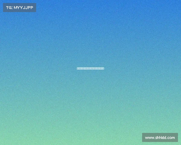 国内的综合格斗赛事、国内综合格斗比赛