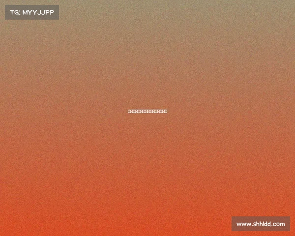 比利时历史赛事比利时历史赛事比分